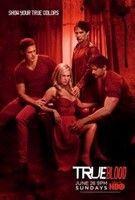 True Blood - Inni és élni hagyni 6. évad (2013)
